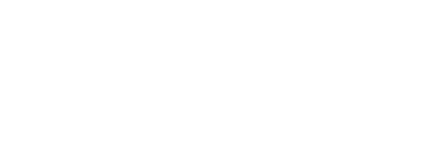 light logo